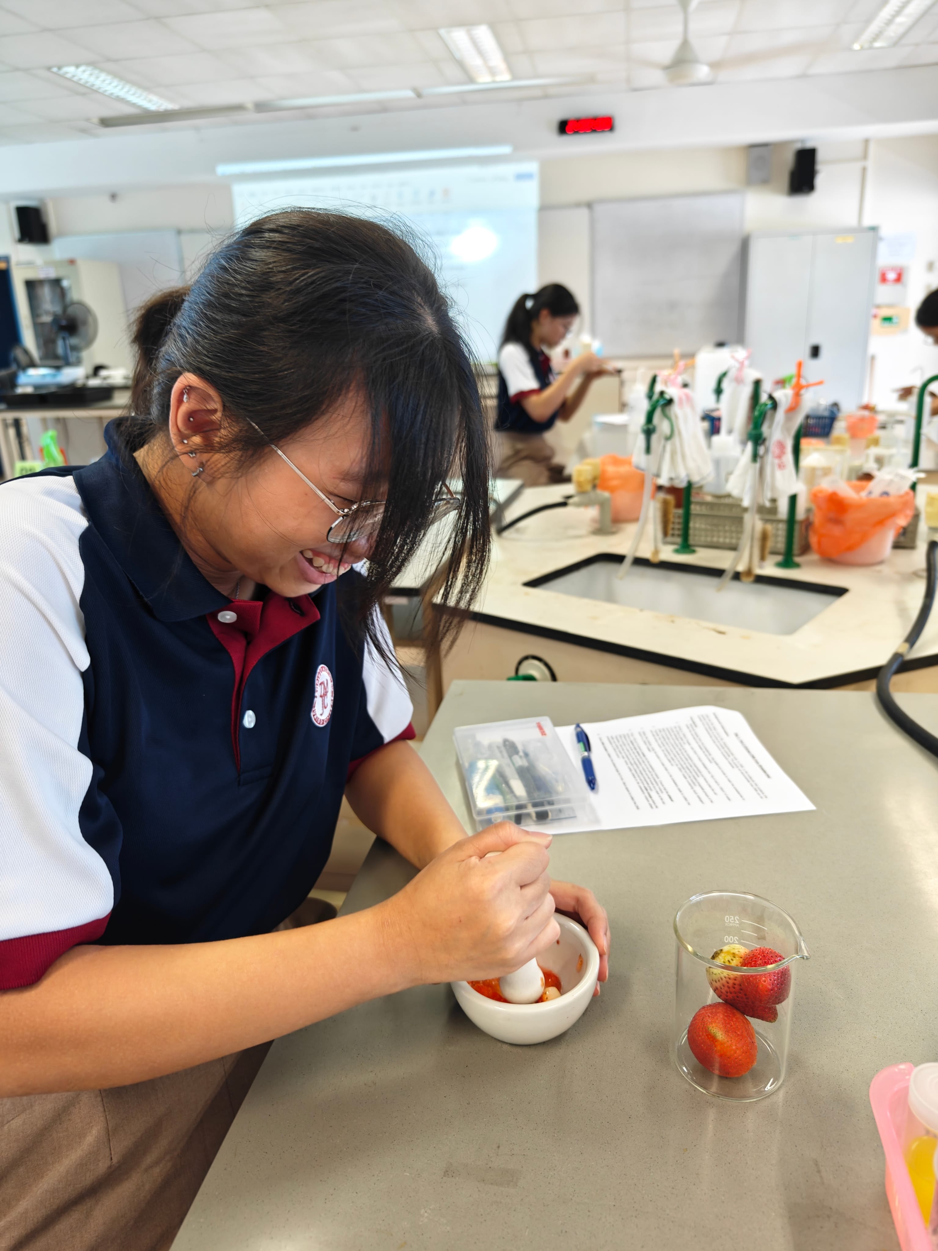 A smiling female student in a navy blue polo shirt crushes strawberries using a pestle and mortar at a lab bench, with a beaker of whole strawberries nearby.